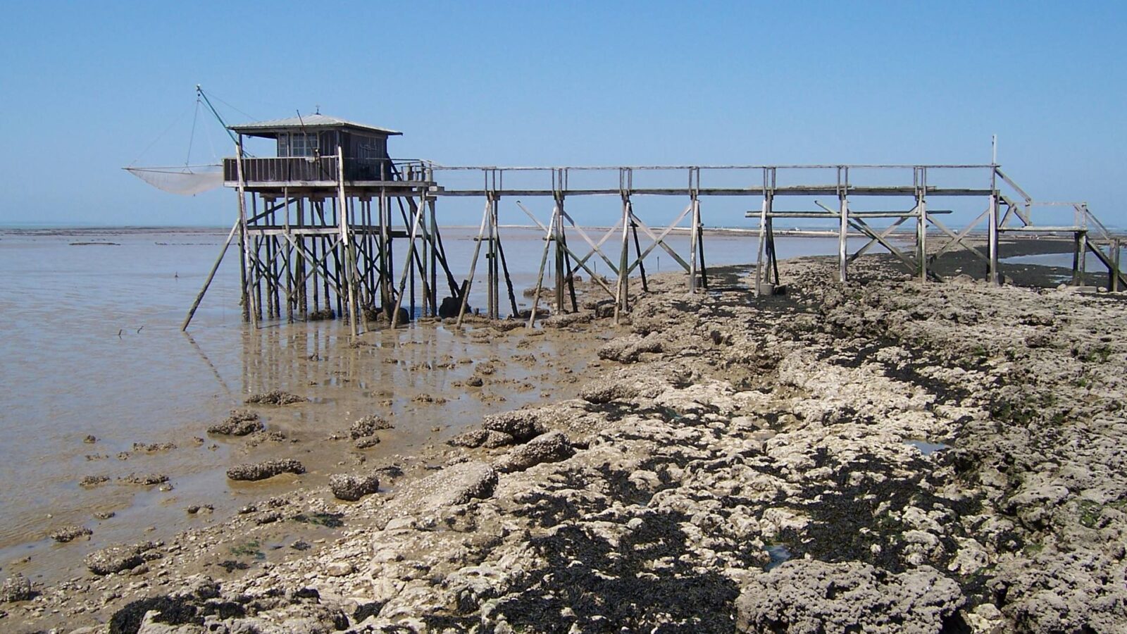 Côte charentaise à découvrir à partir du gite de la Gravée en Vendée