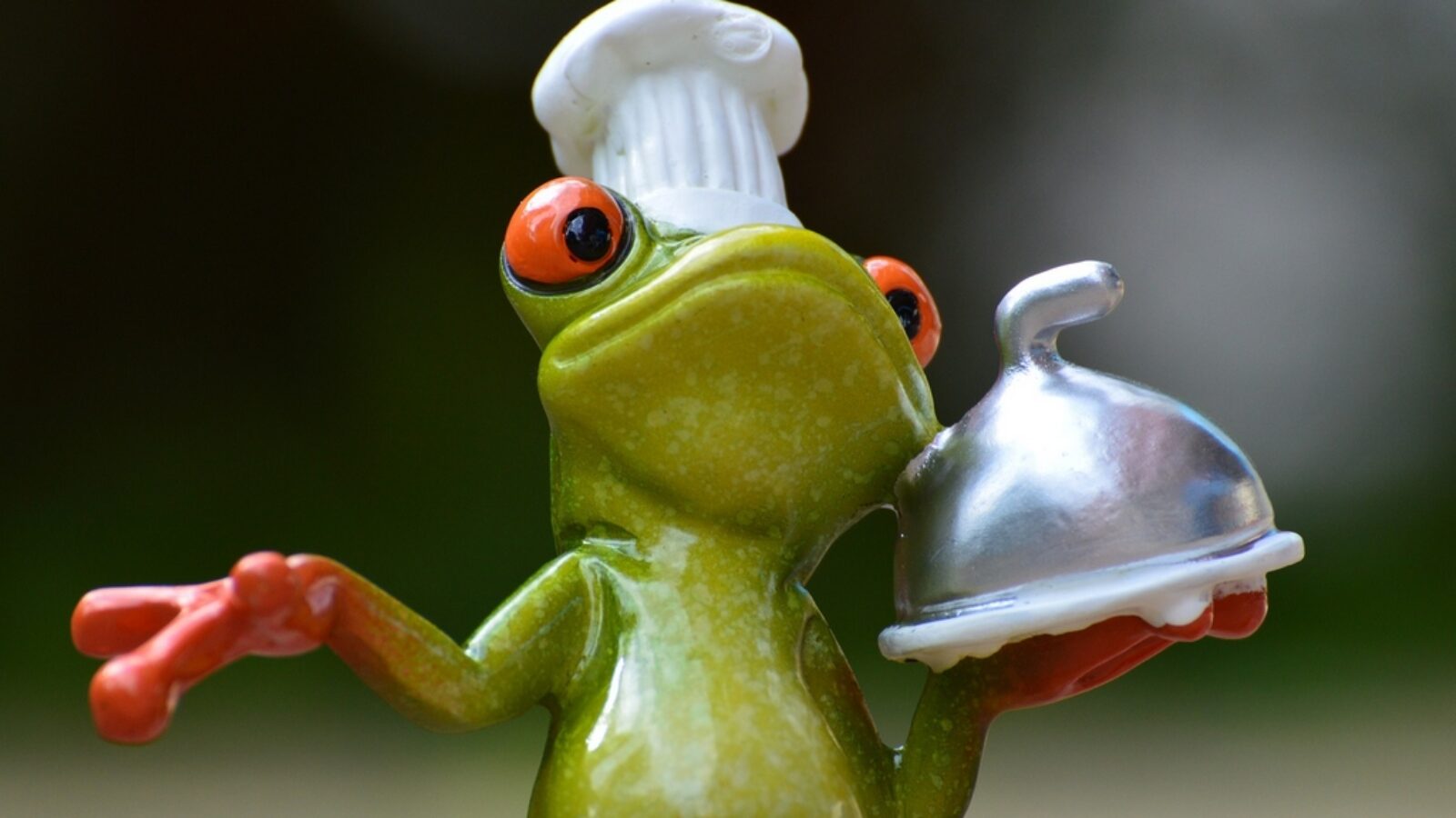 Gourmand et gourmets en Vendée avec le gite de la Gravée