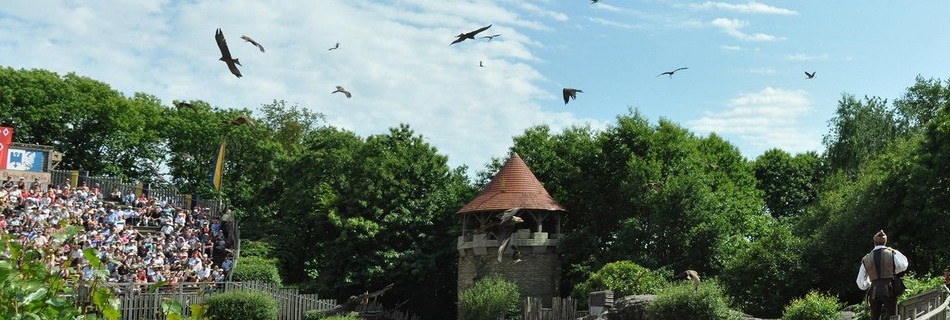 Le Bal des Oiseaux du Puy du Fou