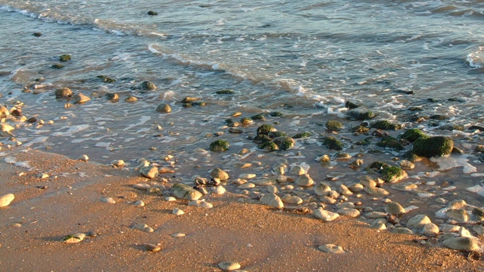 Littoral de Vendée à découvrir à partir du gite de la Gravée