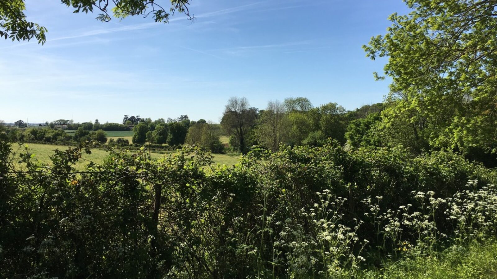 La campagne à Saint Michel le Cloucq en Vendée