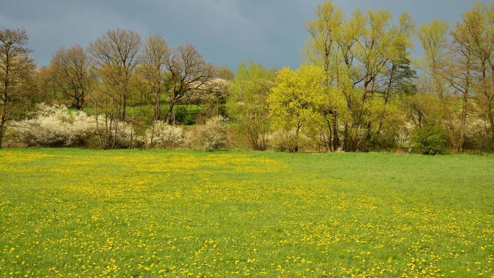 La Vendée en avril par le gite de la Gravée Vendée