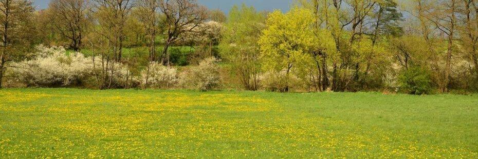 La Vendée en avril par le gite de la Gravée Vendée