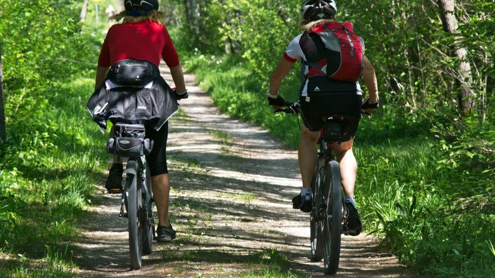 Vacances à vélo en Vendée