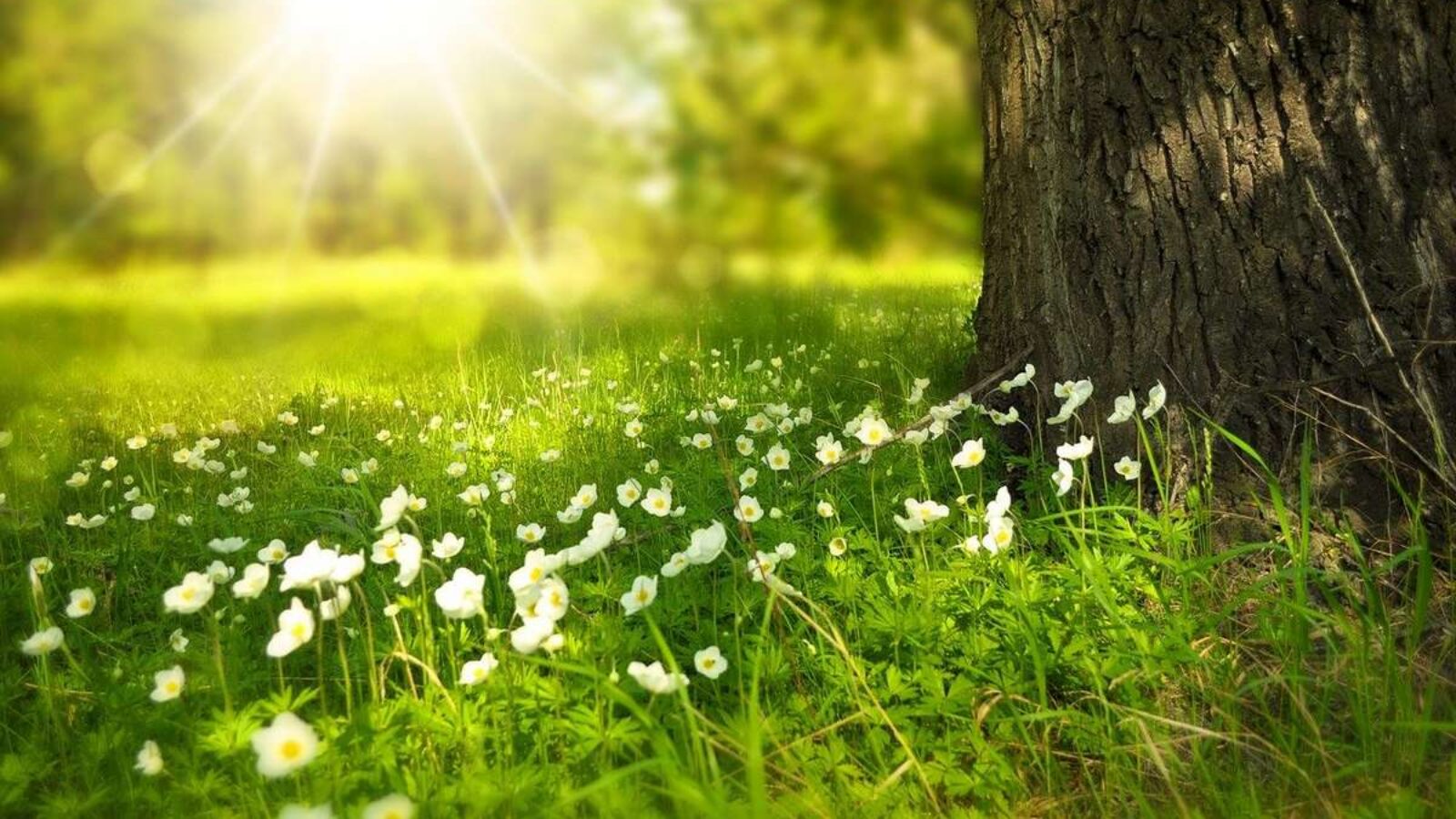 Passez des vacances proches de la nature au gite de la Gravée