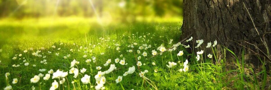 Passez des vacances proches de la nature au gite de la Gravée