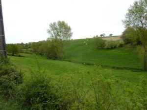 Vendée Marais Poitevin, une variété de paysages : plaine, bocage, marais et forêt