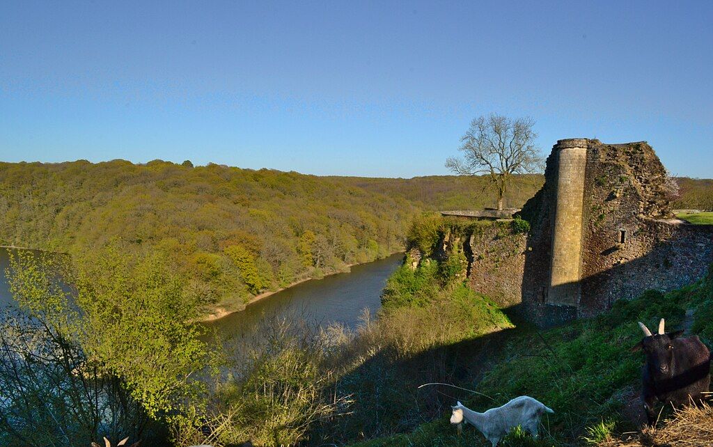 Les ruines du château de Mervent