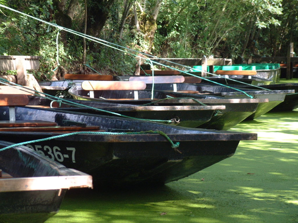 Barques Marais Poitevin